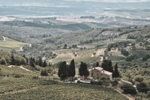 Linguini Napa Valley Winery